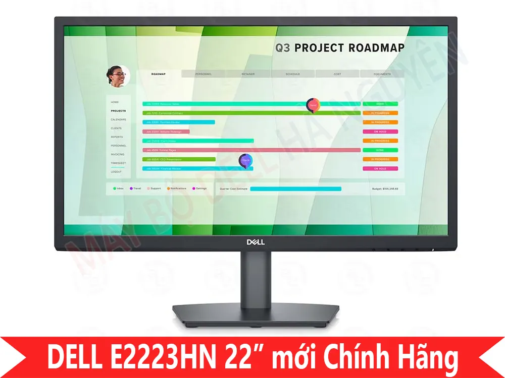 Màn hình Dell 22